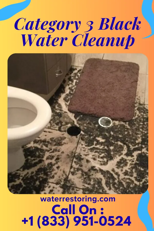 Category 3 Black Water Cleanup in Brookdale, SC